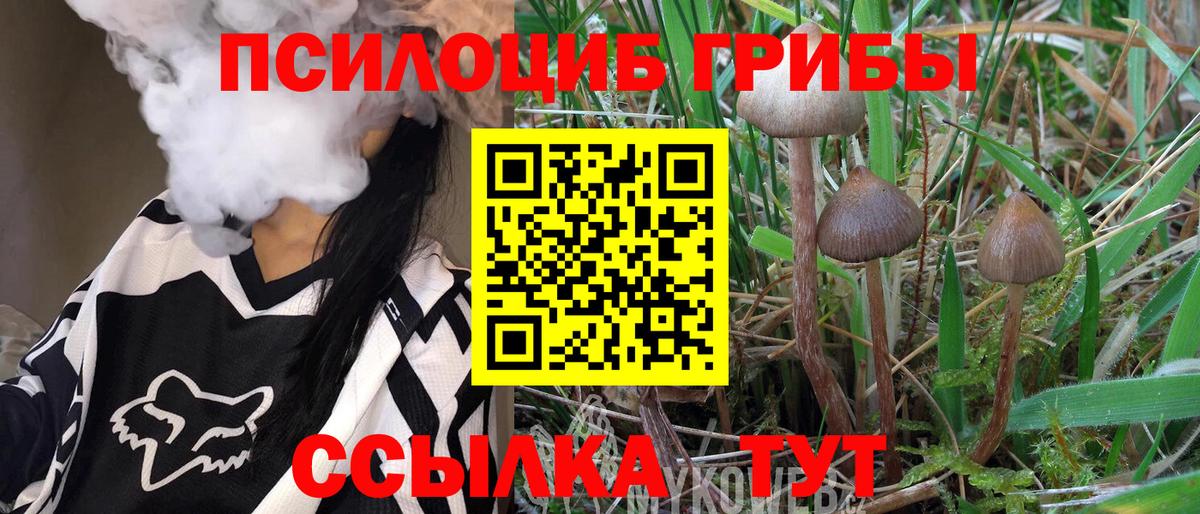 Галлюциногенные грибы Magic Shrooms Новокубанск
