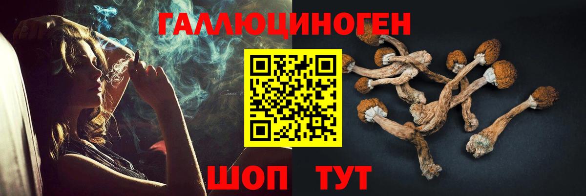 Новокубанск  Галлюциногенные грибы прущие грибы  Вход с VPN 