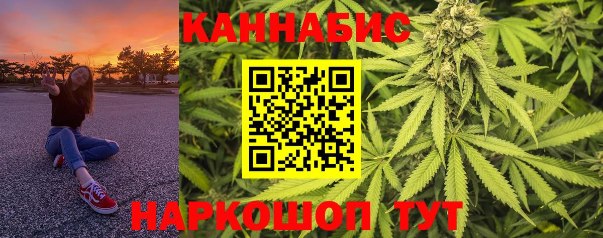 Канабис семена Новокубанск